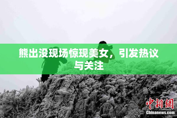熊出没现场惊现美女，引发热议与关注