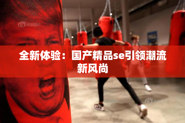 全新体验：国产精品se引领潮流新风尚