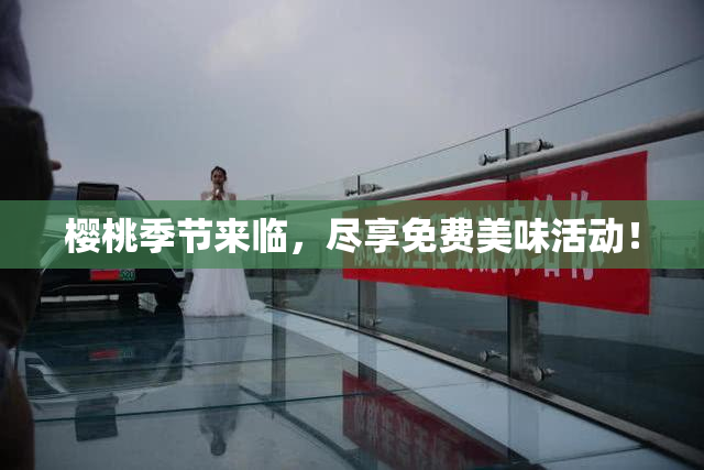 樱桃季节来临，尽享免费美味活动！