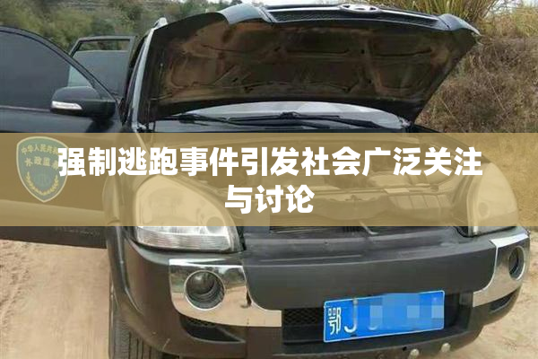 强制逃跑事件引发社会广泛关注与讨论