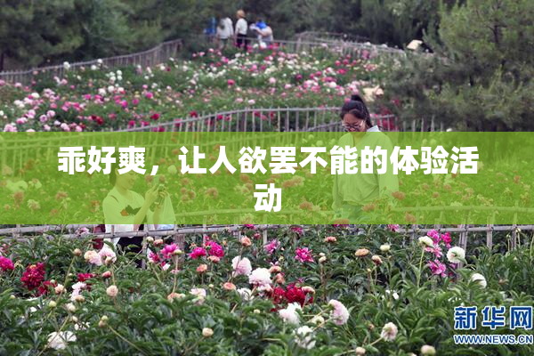 乖好爽，让人欲罢不能的体验活动