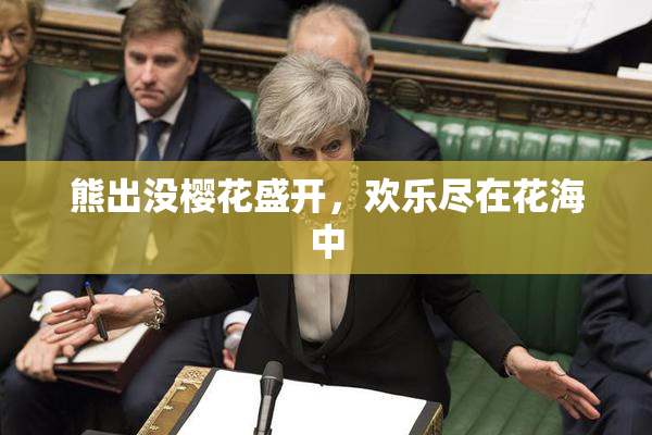熊出没樱花盛开，欢乐尽在花海中
