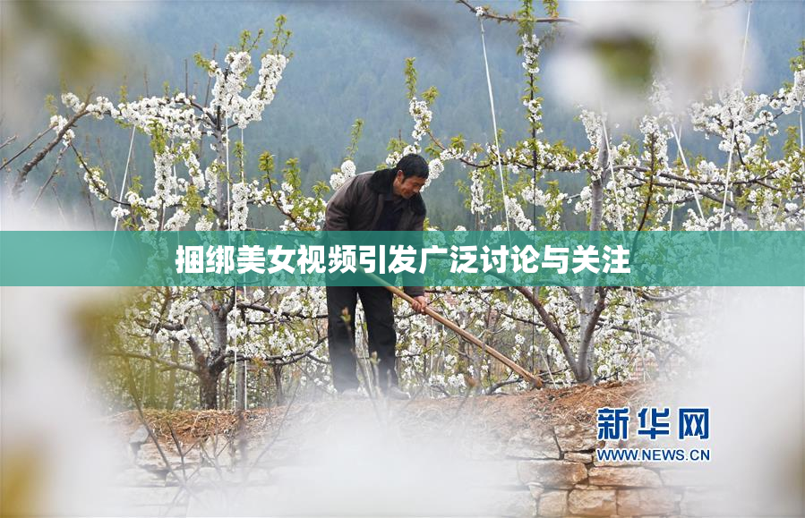 捆绑美女视频引发广泛讨论与关注