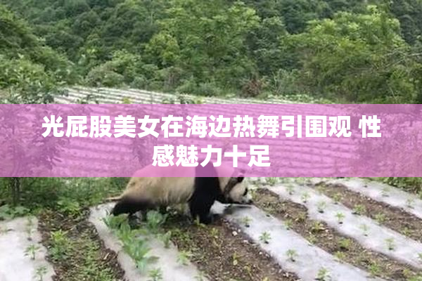 光屁股美女在海边热舞引围观 性感魅力十足