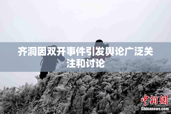 齐洞因双开事件引发舆论广泛关注和讨论