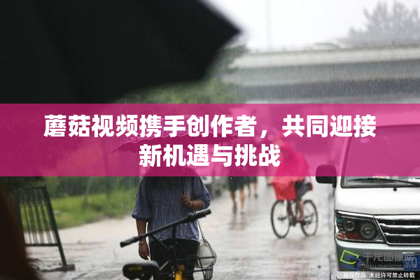 蘑菇视频携手创作者，共同迎接新机遇与挑战