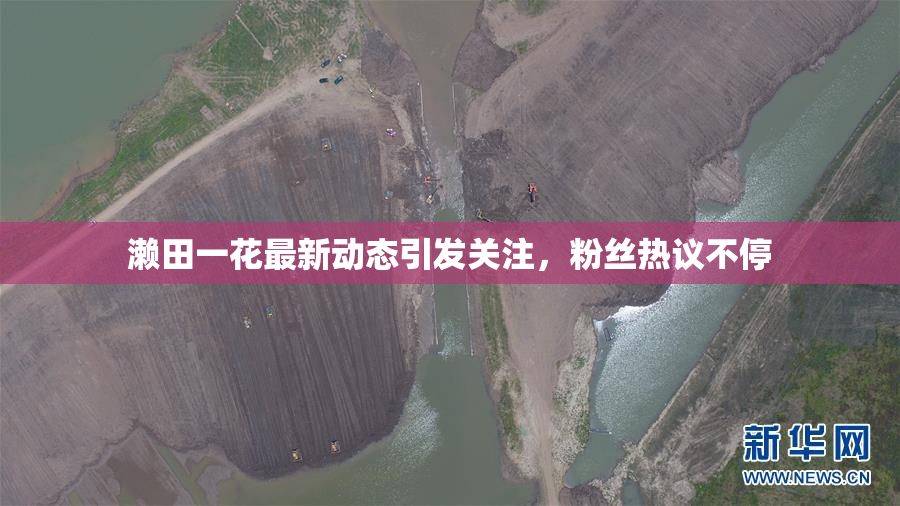 濑田一花最新动态引发关注，粉丝热议不停