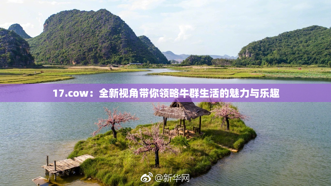 17.cow：全新视角带你领略牛群生活的魅力与乐趣