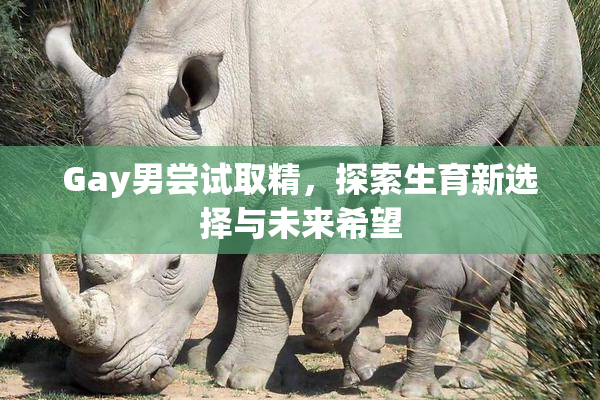 Gay男尝试取精，探索生育新选择与未来希望
