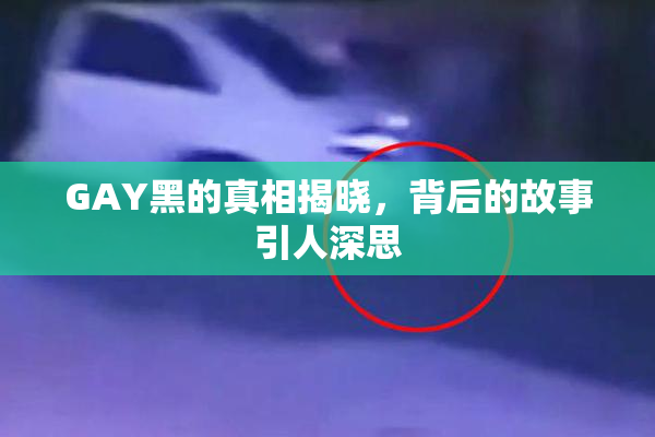 GAY黑的真相揭晓，背后的故事引人深思