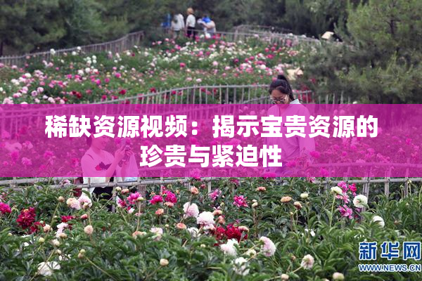 稀缺资源视频：揭示宝贵资源的珍贵与紧迫性