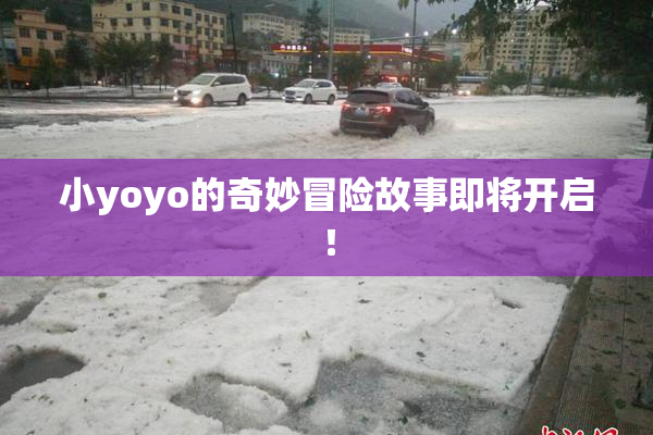 小yoyo的奇妙冒险故事即将开启！