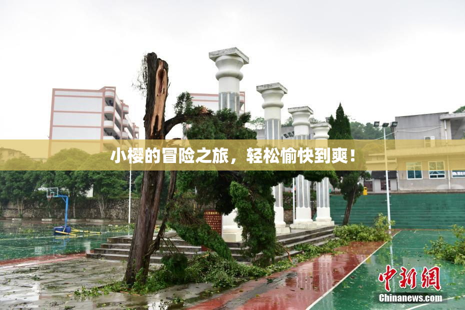 小樱的冒险之旅，轻松愉快到爽！