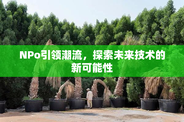 ΝPo引领潮流，探索未来技术的新可能性