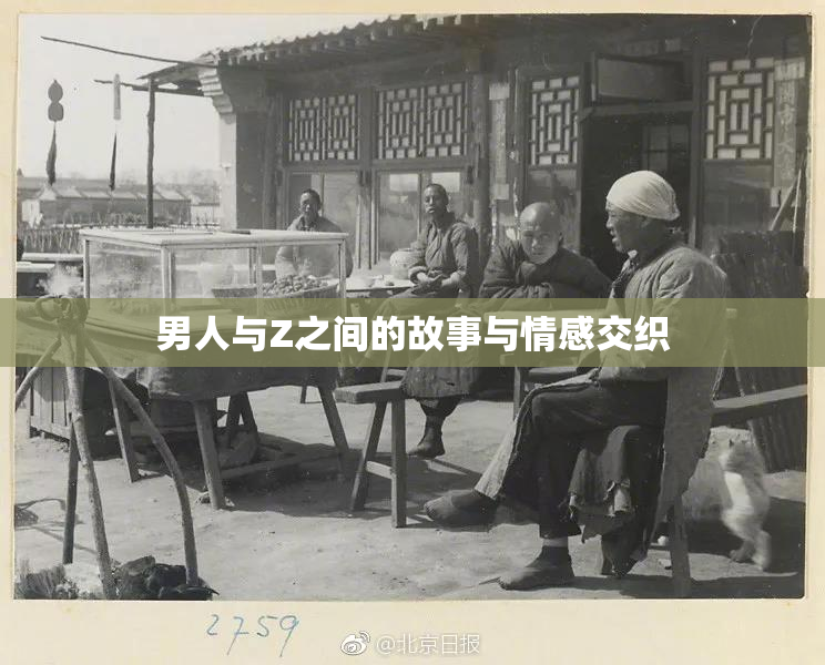 男人与Z之间的故事与情感交织