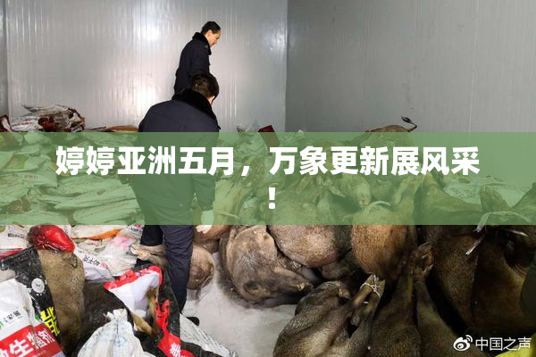 婷婷亚洲五月，万象更新展风采！