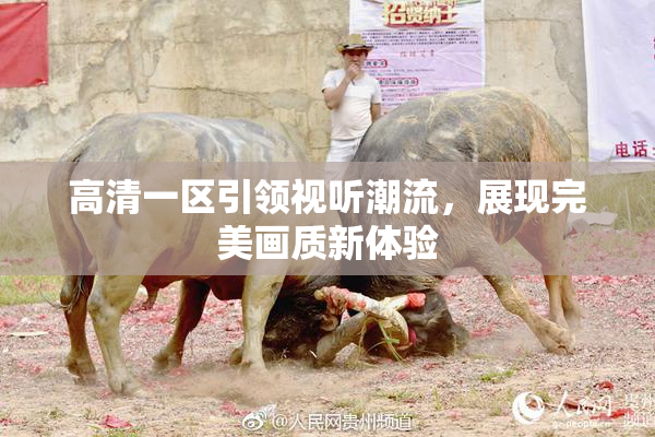 高清一区引领视听潮流，展现完美画质新体验