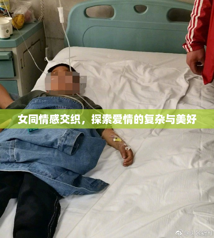 女同情感交织，探索爱情的复杂与美好