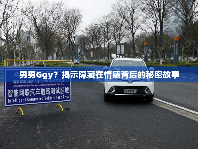 男男Ggy？揭示隐藏在情感背后的秘密故事