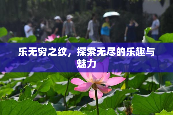 乐无穷之纹，探索无尽的乐趣与魅力