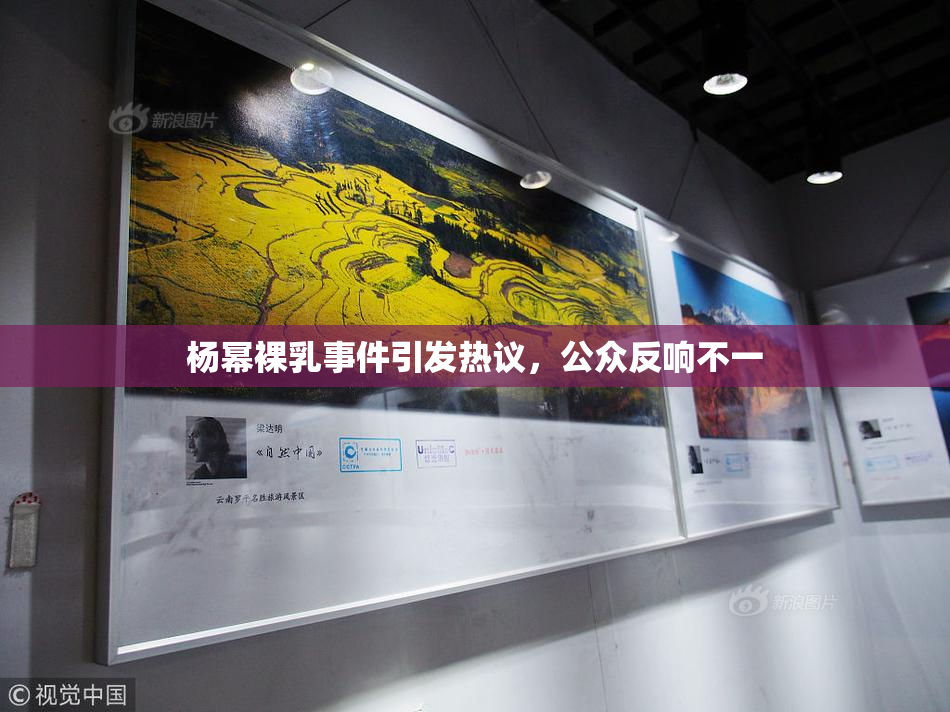 杨幂裸乳事件引发热议，公众反响不一
