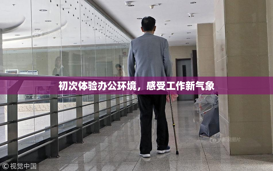 初次体验办公环境，感受工作新气象