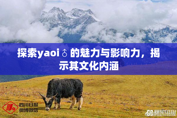 探索yaoi♂的魅力与影响力，揭示其文化内涵