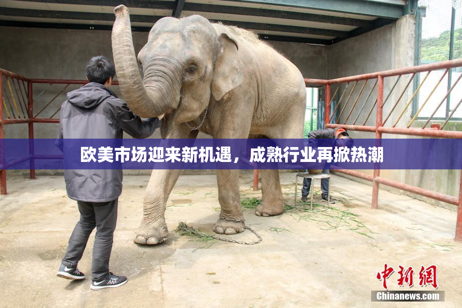 欧美市场迎来新机遇，成熟行业再掀热潮