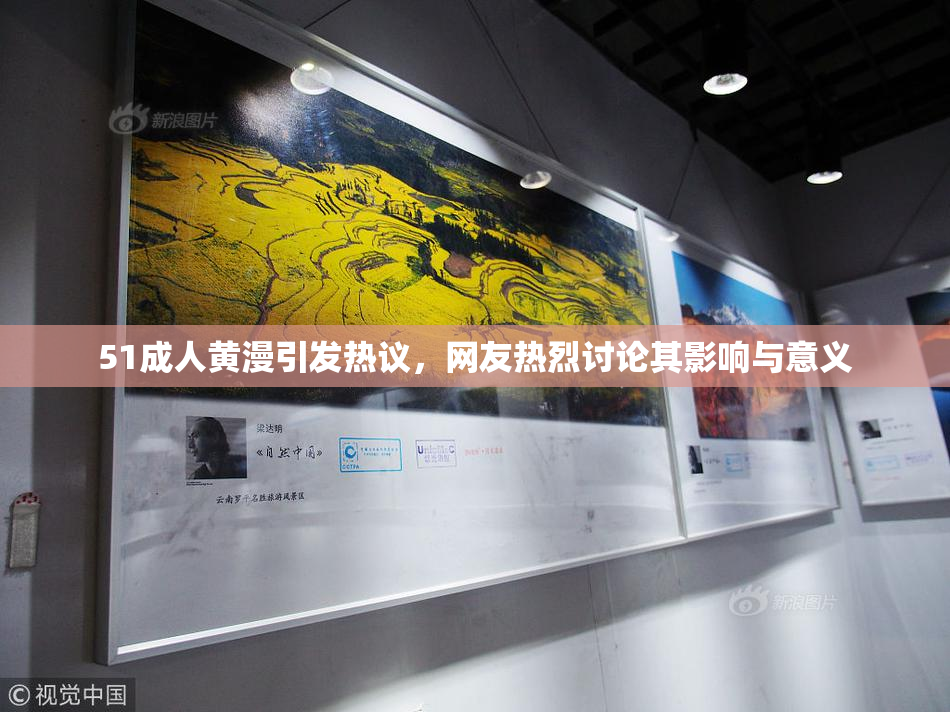 51成人黄漫引发热议，网友热烈讨论其影响与意义