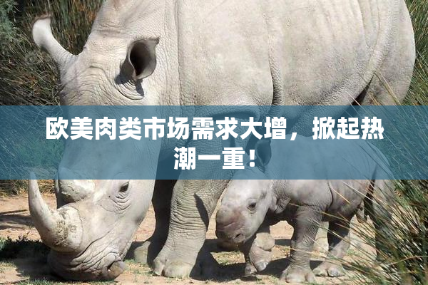 欧美肉类市场需求大增，掀起热潮一重！