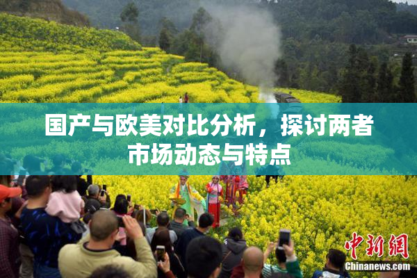 国产与欧美对比分析，探讨两者市场动态与特点