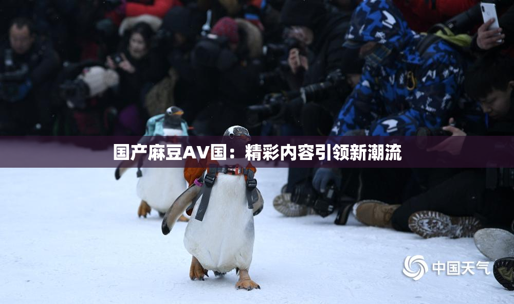 国产麻豆AV国：精彩内容引领新潮流