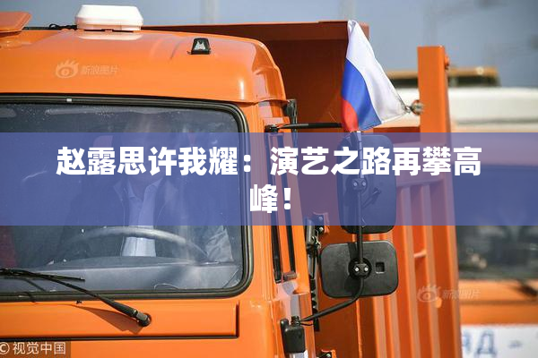 赵露思许我耀：演艺之路再攀高峰！