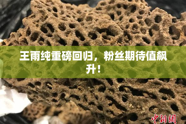 王雨纯重磅回归，粉丝期待值飙升！