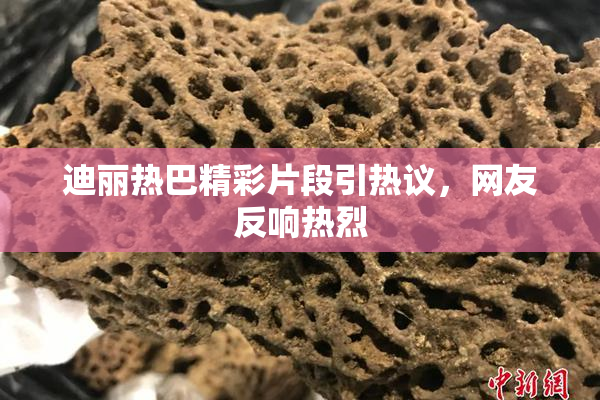 迪丽热巴精彩片段引热议，网友反响热烈