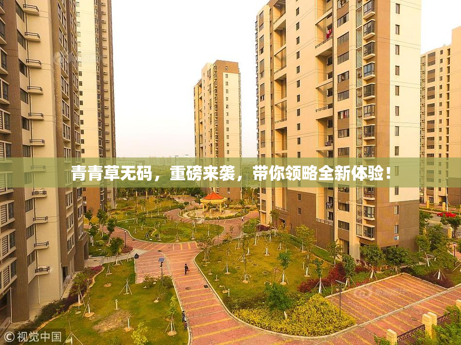 青青草无码，重磅来袭，带你领略全新体验！