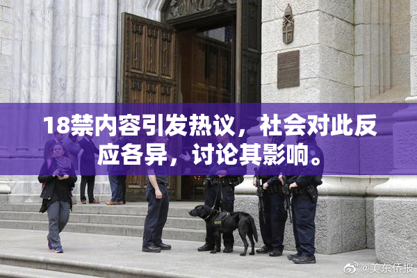18禁内容引发热议，社会对此反应各异，讨论其影响。