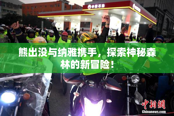 熊出没与纳雅携手，探索神秘森林的新冒险！