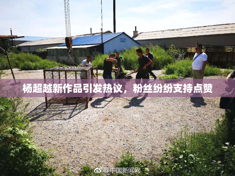 杨超越新作品引发热议，粉丝纷纷支持点赞
