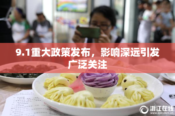9.1重大政策发布，影响深远引发广泛关注