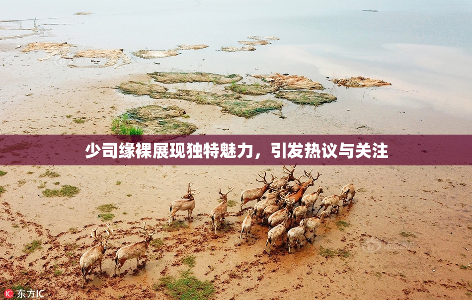 少司缘裸展现独特魅力，引发热议与关注