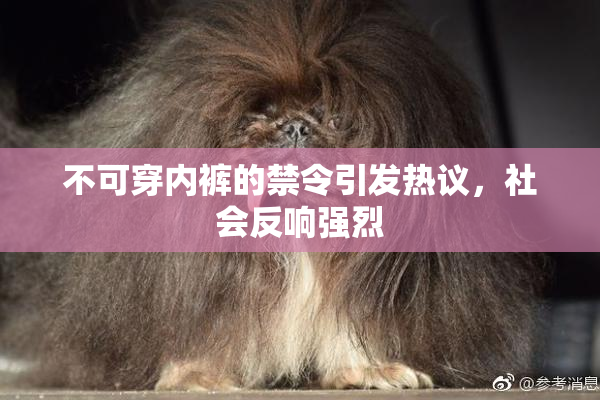 不可穿内裤的禁令引发热议，社会反响强烈
