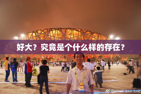 好大？究竟是个什么样的存在？