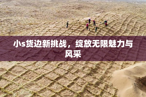 小s货边新挑战，绽放无限魅力与风采