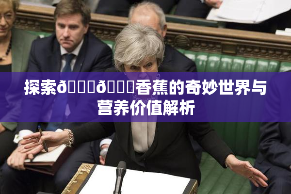 探索🔞🔞香蕉的奇妙世界与营养价值解析