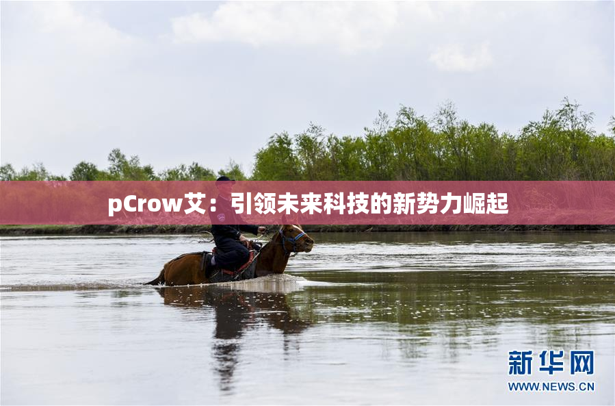 pCrow艾：引领未来科技的新势力崛起