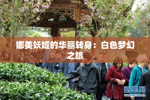 娜美妖姬的华丽转身：白色梦幻之旅