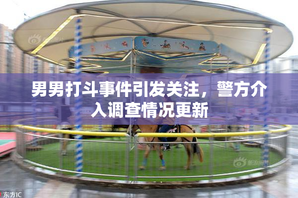 男男打斗事件引发关注，警方介入调查情况更新