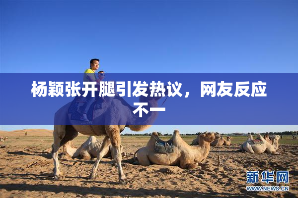 杨颖张开腿引发热议，网友反应不一
