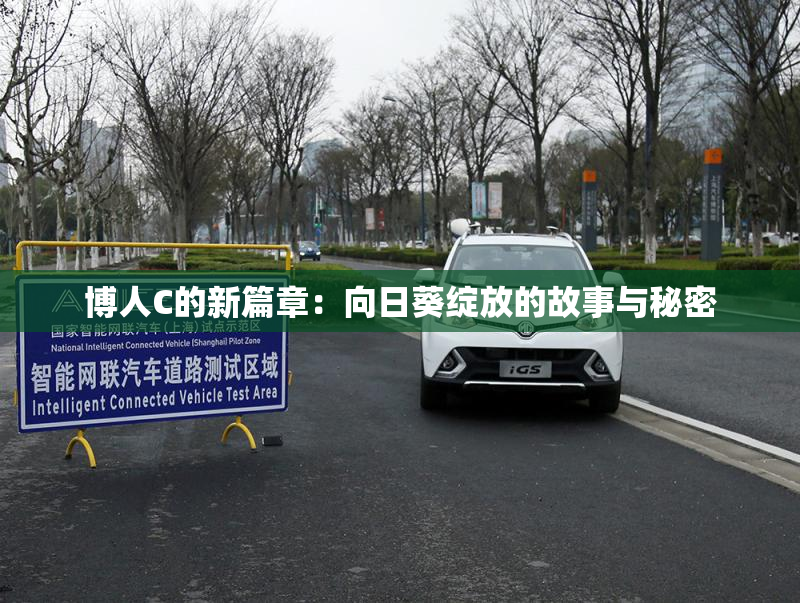 博人C的新篇章：向日葵绽放的故事与秘密